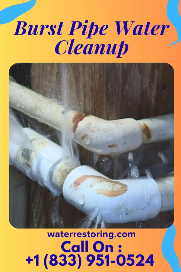 Burst Pipe Water Cleanup in Darbydale, OH