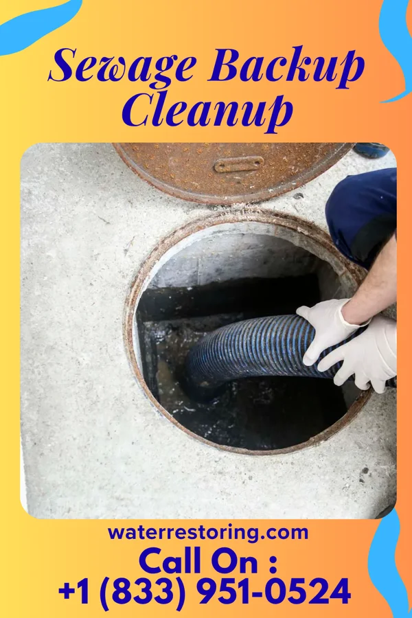 Sewage Backup Cleanup in Darbydale, OH